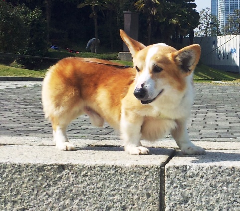 100313_123759.jpg
