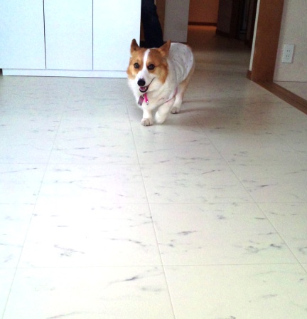 100509_170947.jpg