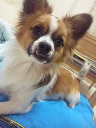 110226_001036.jpg