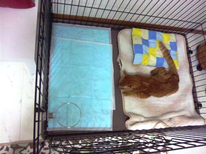 110409_182002.jpg
