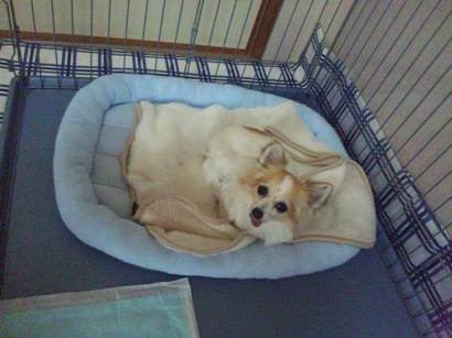 120106_084753.jpg