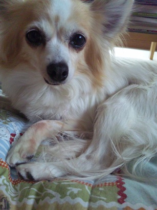 120123_090633.jpg