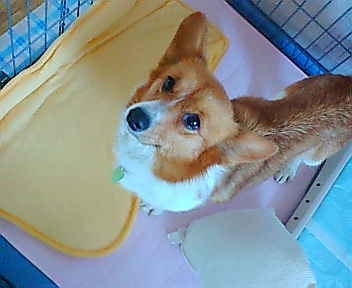 20080518113953_1344E.jpg