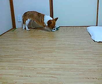 20080519221403_1333E.jpg