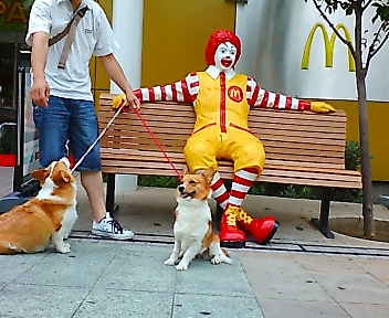 20080628104937_1700E.jpg