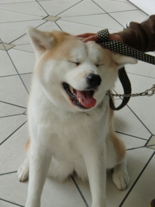 890.jpg