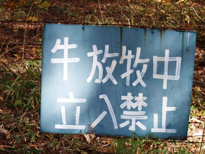 八ヶ岳-04.jpg