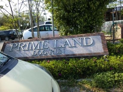dvc00024.jpg