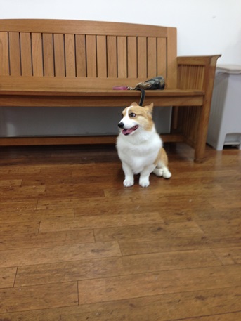 nene-140713-01.jpg