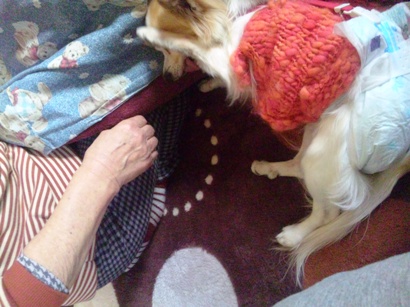 120103_122358.jpg
