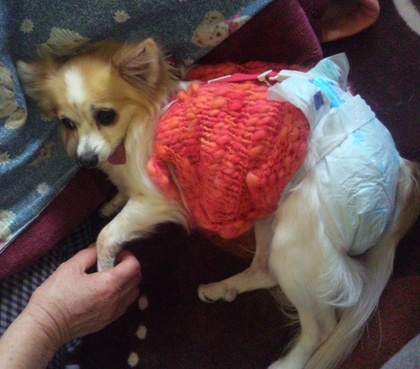 120103_122407.jpg