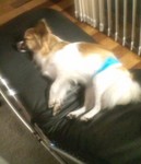 20110611204926.jpg